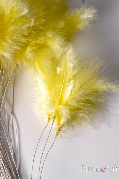 Panicule 3 plumes - hauteur 36 cm - jaune